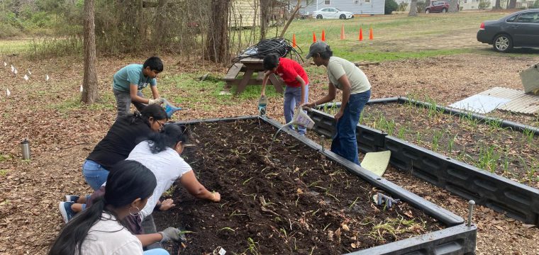 Volunteering at Holly Springs Food Cupboard